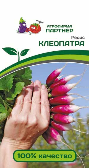 РЕДИС КЛЕОПАТРА 2 г. (Партнер)