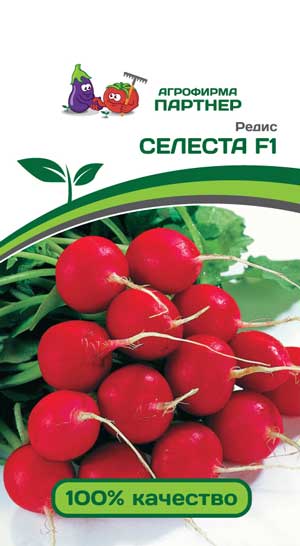 РЕДИС СЕЛЕСТА F1 1 г. (Партнер)