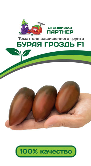 ТОМАТ БУРАЯ ГРОЗДЬ F1 10 шт. (Партнер)