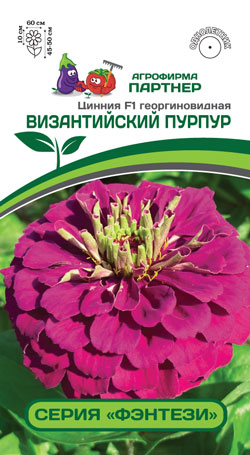 Цинния F1 ВИЗАНТИЙСКИЙ ПУРПУР 4 шт. (Партнер)