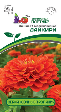Цинния F1 ДАЙКИРИ 4 шт. (Партнер)
