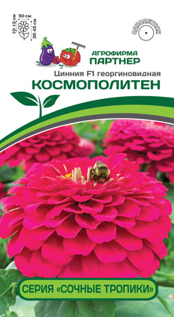 Цинния F1 КОСМОПОЛИТЕН 4 шт. (Партнер)