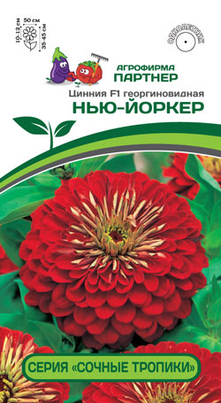 Цинния F1 НЬЮ-ЙОРКЕР  4 шт. (Партнер)