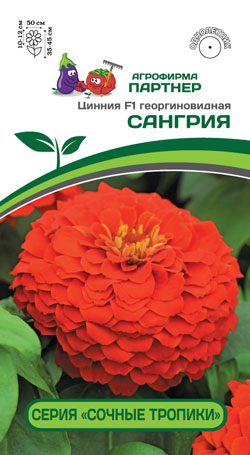Цинния F1 САНГРИЯ 4 шт. (Партнер)