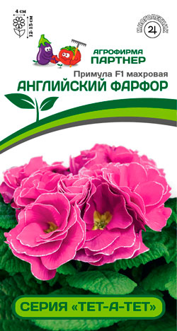 ПРИМУЛА МАХРОВАЯ АНГЛИЙСКИЙ ФАРФОР F1  5 шт. Партнер
