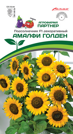 ПОДСОЛНЕЧНИК ДЕКОРАТИВНЫЙ АМАЛФИ ГОЛДЕН F1 10 шт. АП