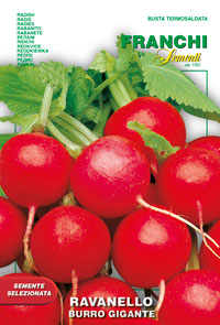 Редис Масляный великан 12 г. (Проф)