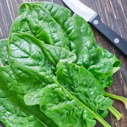 Шпинат Зимний гигант 13 г. (Проф)