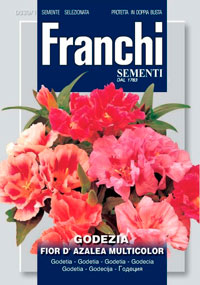 Годеция разноцветная 2 г. (Проф)