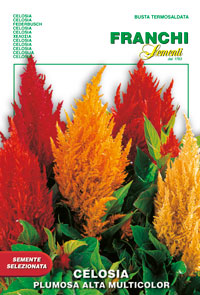 Целозия перистая смесь 1 г. (Проф)