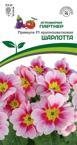 ПРИМУЛА КРУПНОЦВЕТКОВАЯ ШАРЛОТТА F1 5 шт. Партнер