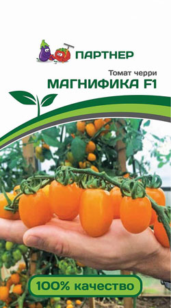 ТОМАТ ЧЕРРИ МАГНИФИКА F1 10 шт. Партнер