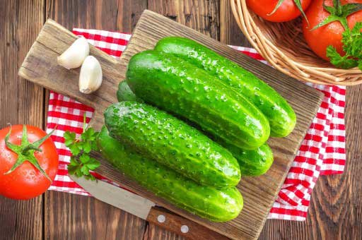 Огурец Octopus F1 1,5 г. Польша