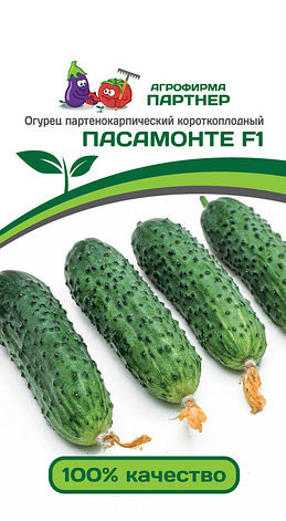 ОГУРЕЦ ПАСАМОНТЕ 5 шт. Партнер