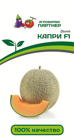 ДЫНЯ КАПРИ F1 5 шт. Партнер