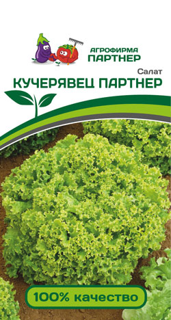 САЛАТ КУЧЕРЯВЕЦ ПАРТНЕР 1 г. Партнер