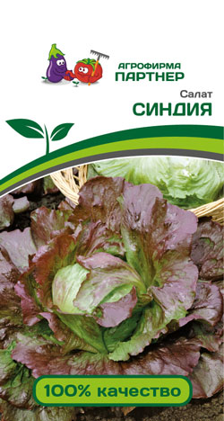 САЛАТ СИНДИЯ 1 г. Партнер