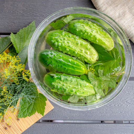 Огурец Hela F1 5 г. PNOS