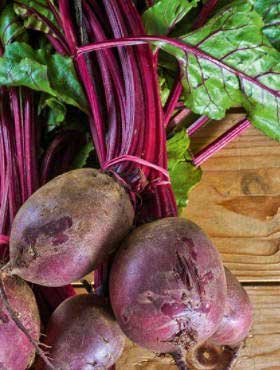 Свекла PATRYK 10 г. PNOS